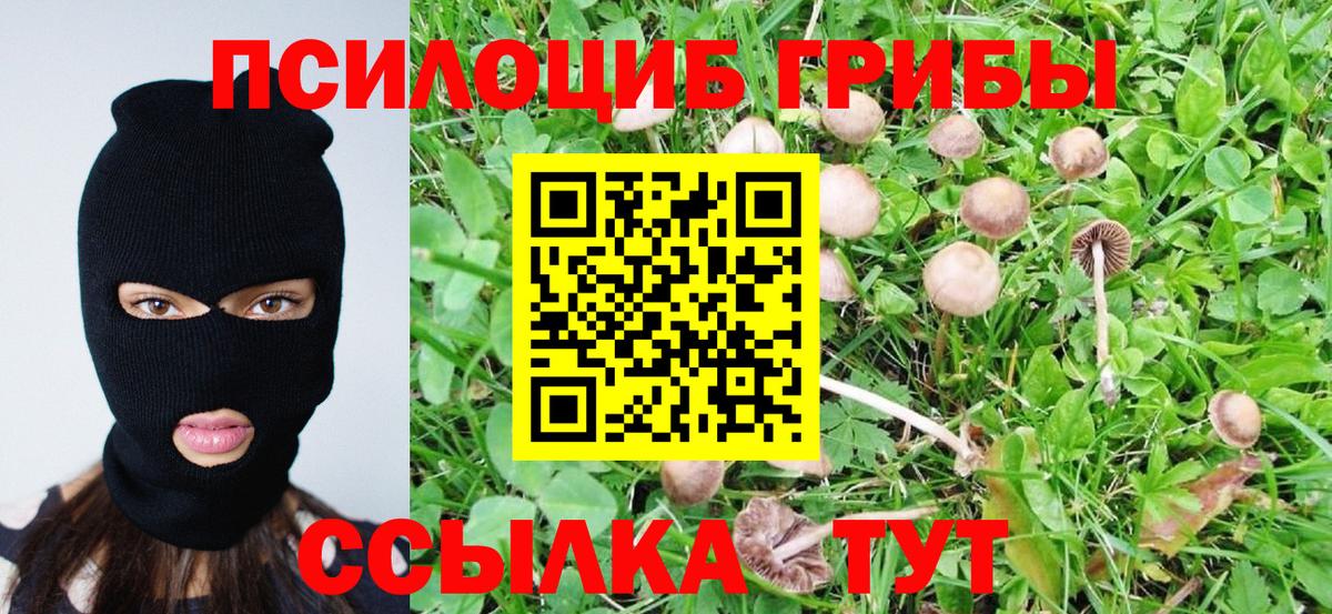 Тверь  как найти наркотики  Вход с VPN  Псилоцибиновые грибы ЛСД 