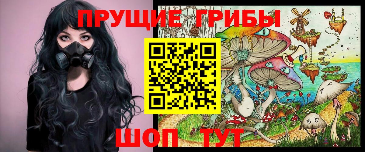 Галлюциногенные грибы мицелий Тверь
